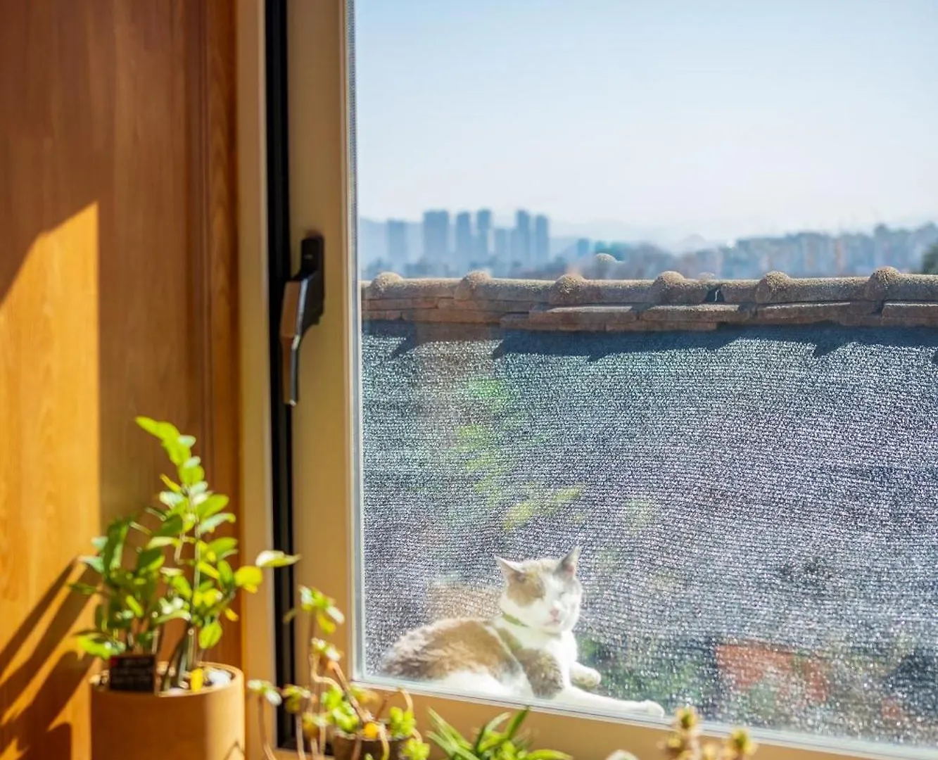 Holiday home I'M Green Stay Seoul